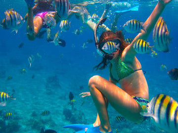 Best Chileno Bay Snorkel Cruise | Yacht Tours in Cabo San Lucas, Baja California