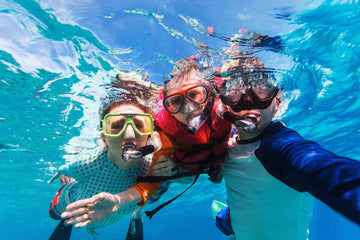 Best Pelican Rock Snorkel Tour | Yacht Charters in Cabo San Lucas, Baja California