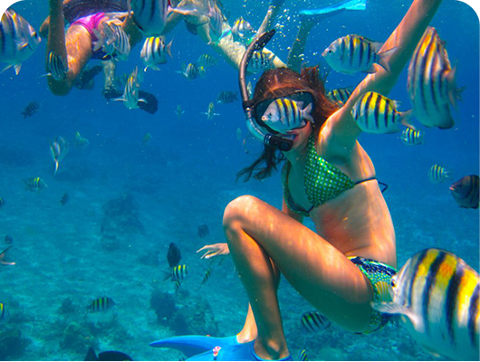 A woman snorkeling in the ocean while visiting Cabo San Lucas on a Chileno Bay Snorkel Cruise with Best Cabo Yachts