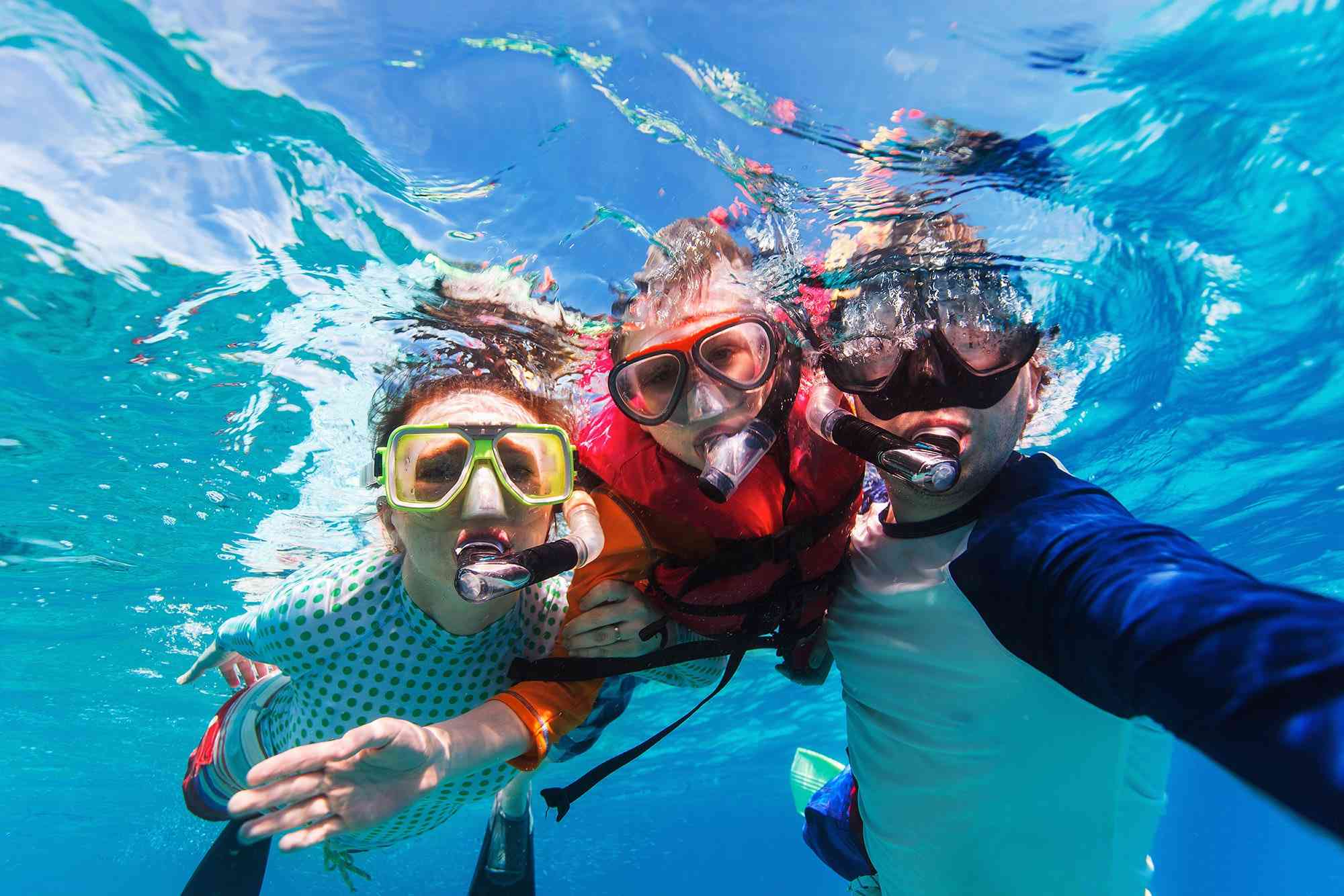 Snorkel around Pelican Rock in Cabo San Lucas, MX while chartering a private luxury yacht charter with Best Cabo Yachts.