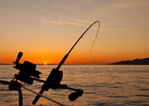 Fishing Yacht Charters in Cabo San Lucas, Mexico aboard a private luxury yacht with Best Cabo Yachts