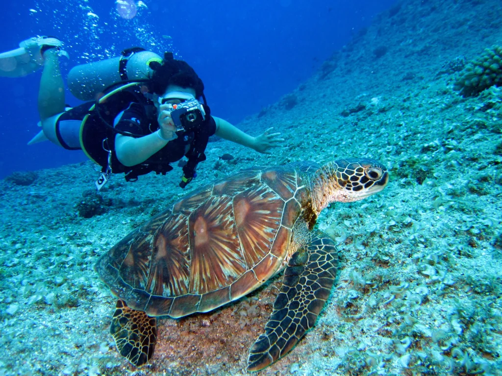 Snorkeling and Scuba Diving on a Private Yacht Charter in Cabo San Lucas, Mexico