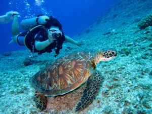 Snorkeling and Scuba Diving on a Private Yacht Charter in Cabo San Lucas, Mexico